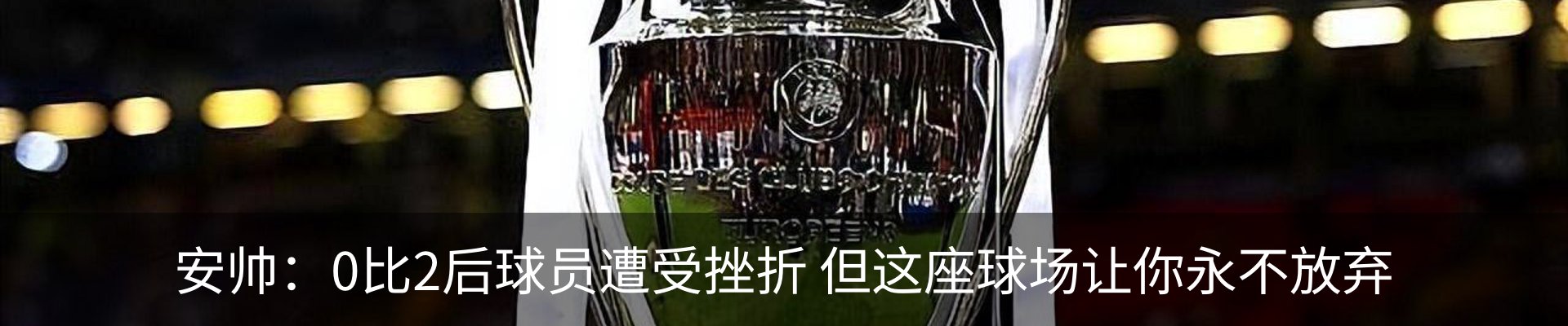 新闻动态