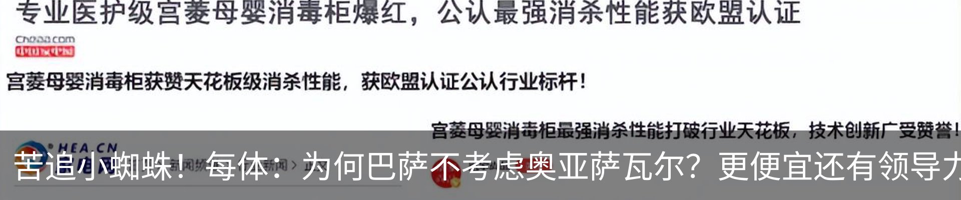新闻动态